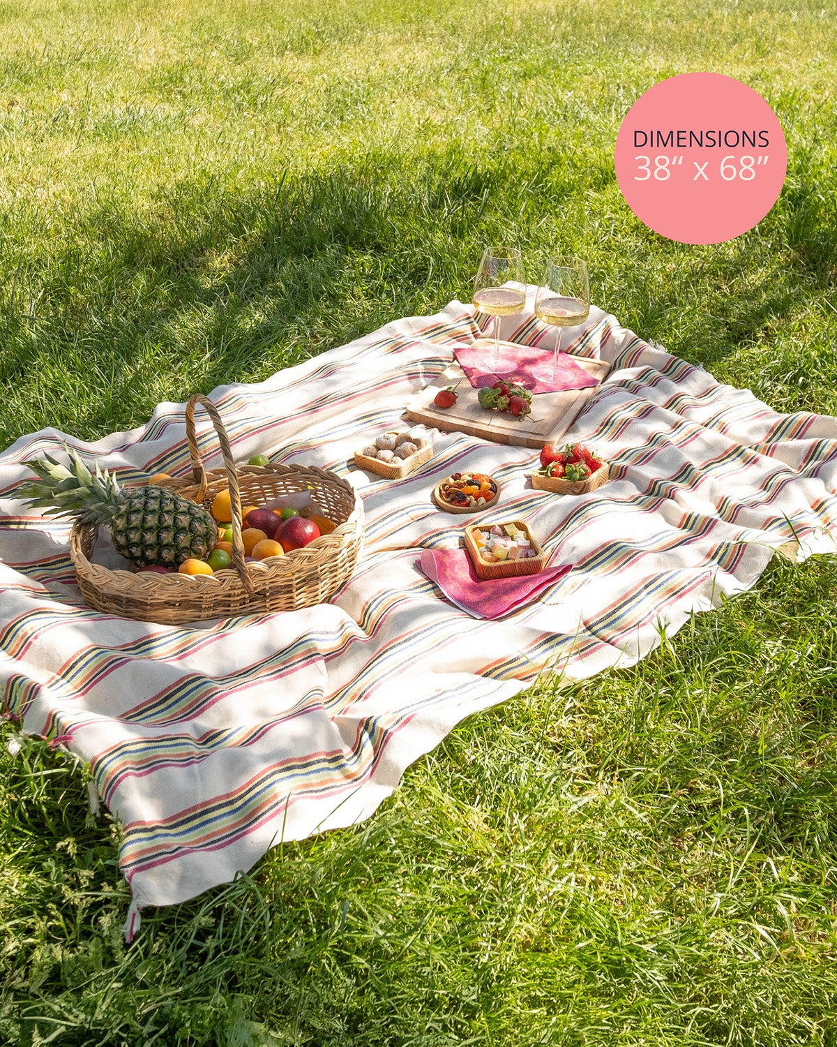Striped picnic blanket with food on a grassy field, dimensions displayed.